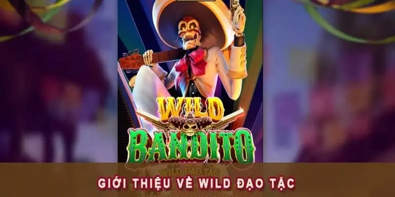 Sơ lược về Wild Đạo Tặc